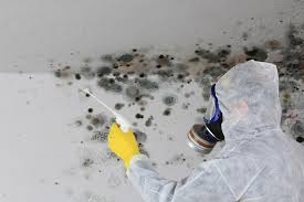 Heritage Lake, IL Mold Removal Services Company